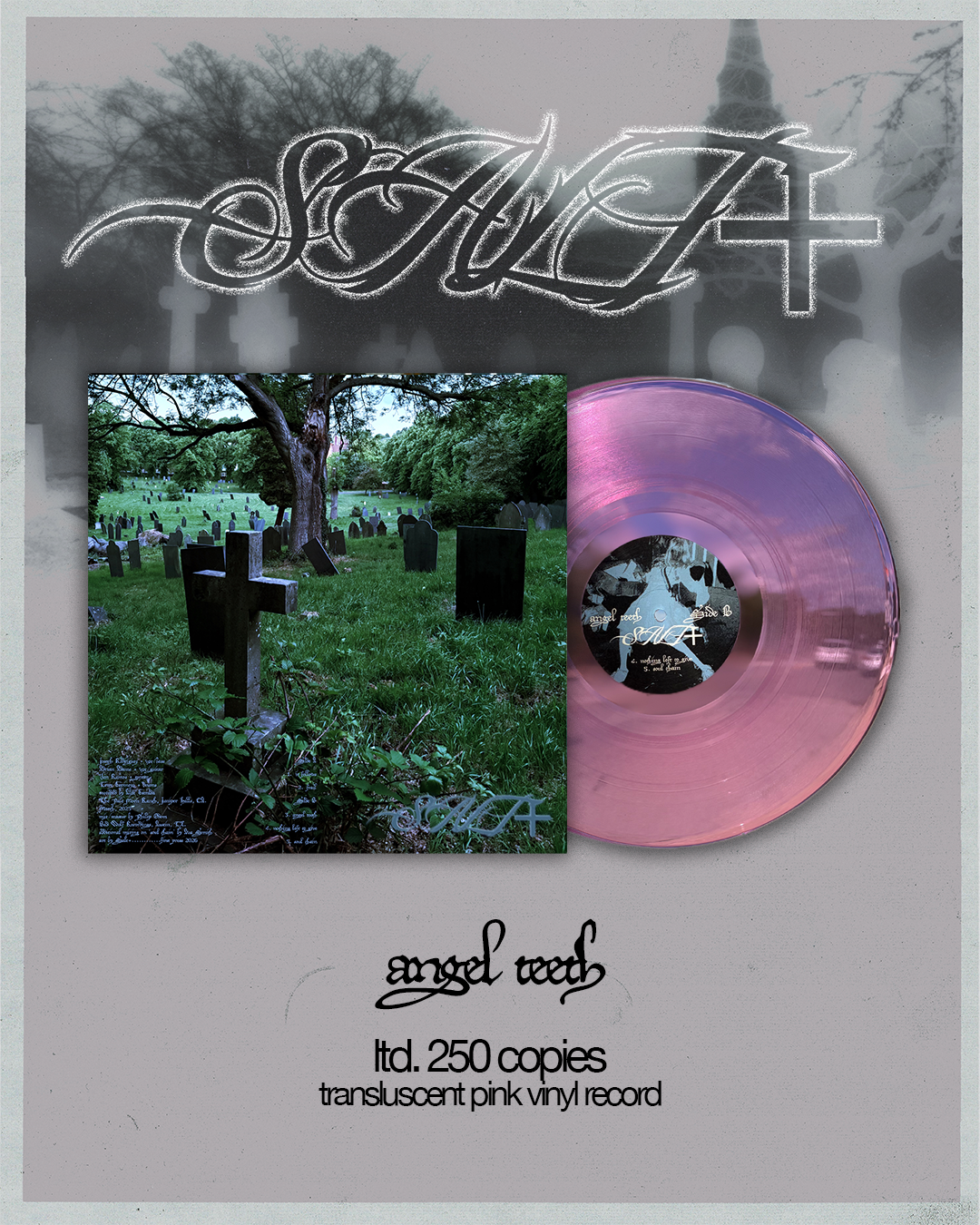 angel teeth Vinyl