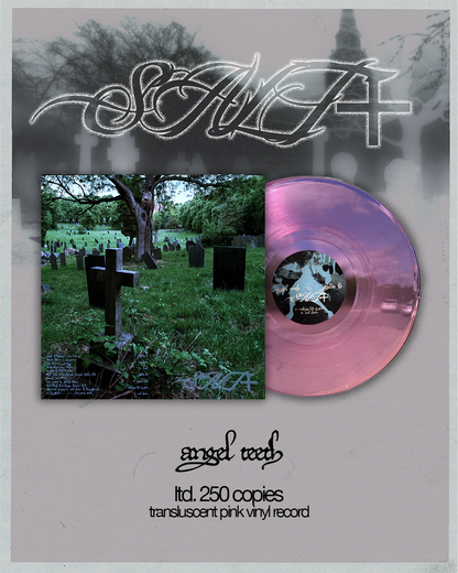 angel teeth Vinyl